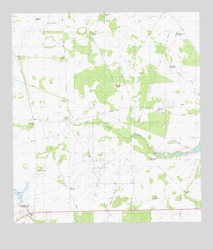 Paisano Lake, TX USGS Topographic Map