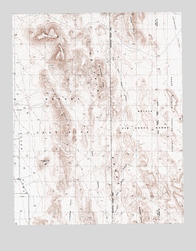 Paiute Ridge, NV USGS Topographic Map