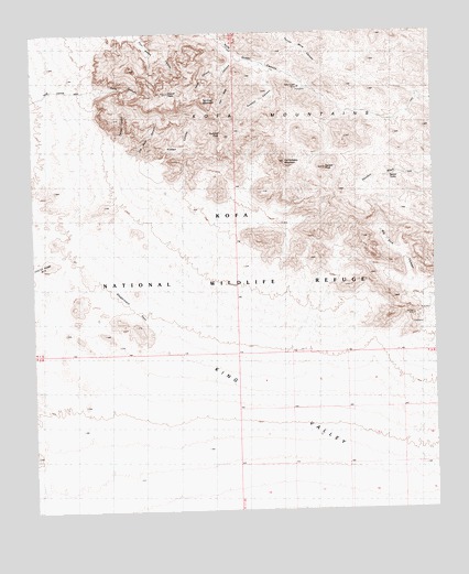 Palm Canyon, AZ USGS Topographic Map