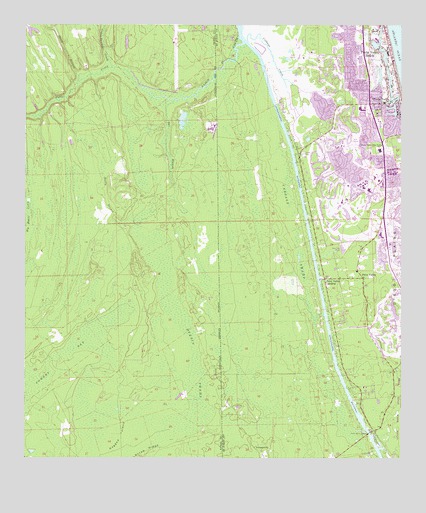 Palm Valley, FL USGS Topographic Map