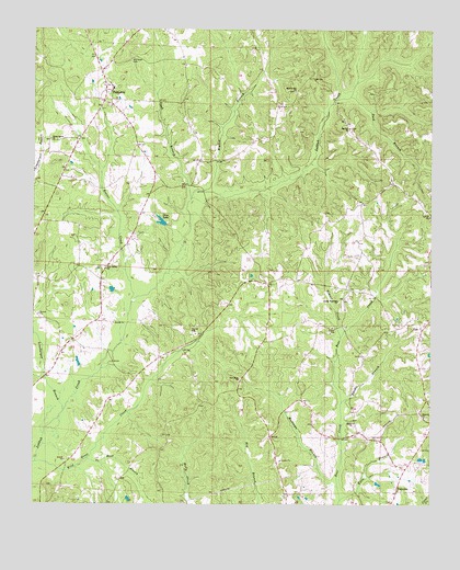 Palmetto, AL USGS Topographic Map