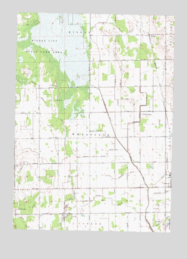 Palms, MI USGS Topographic Map