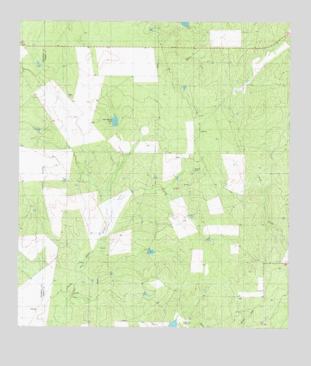 Palo Blanco Tank, TX USGS Topographic Map
