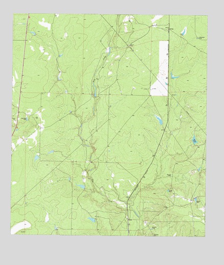 Paloma, TX USGS Topographic Map