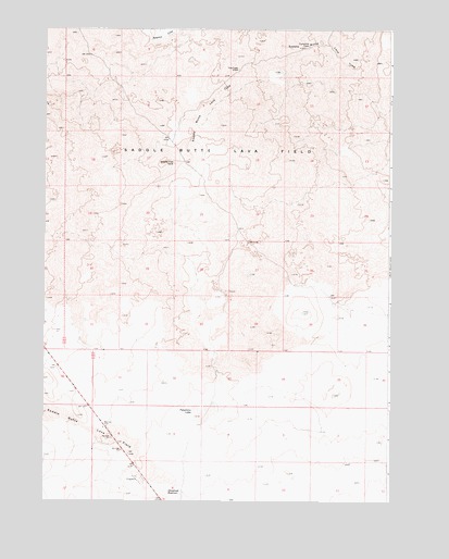 Palomino Lake, OR USGS Topographic Map