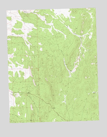 Panaca Summit, NV USGS Topographic Map