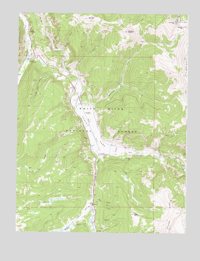 Pando, CO USGS Topographic Map