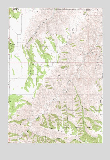 Paradise, OR USGS Topographic Map