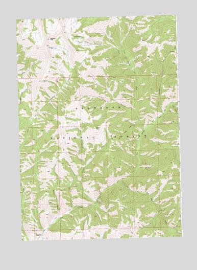 Paradise Peak, ID USGS Topographic Map