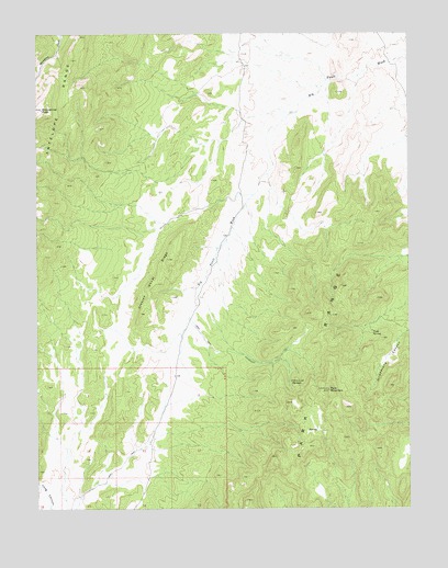 Park Mountain, NV USGS Topographic Map