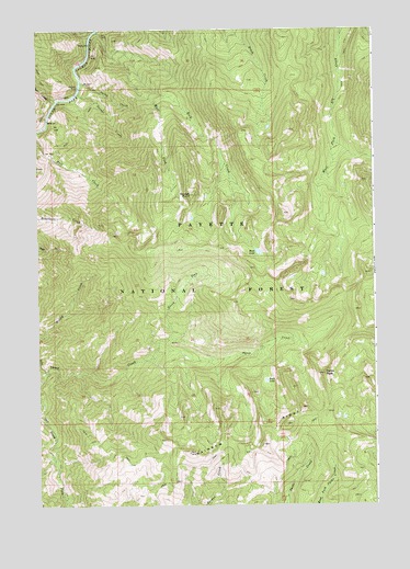 Parks Peak, ID USGS Topographic Map