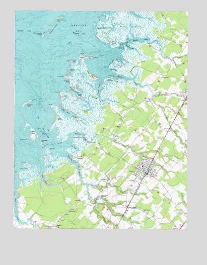 Parksley, VA USGS Topographic Map