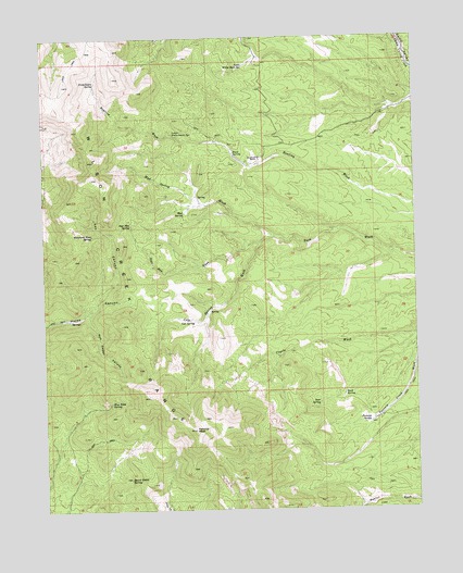 Parsnip Peak, NV USGS Topographic Map