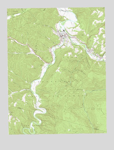 Parsons, WV USGS Topographic Map