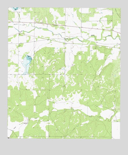 Pasche, TX USGS Topographic Map