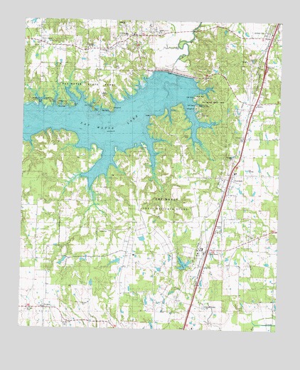 Pat Mayse Lake East, TX USGS Topographic Map
