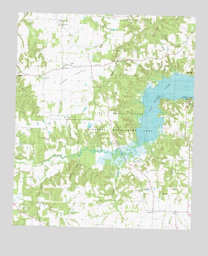 Pat Mayse Lake West, TX USGS Topographic Map