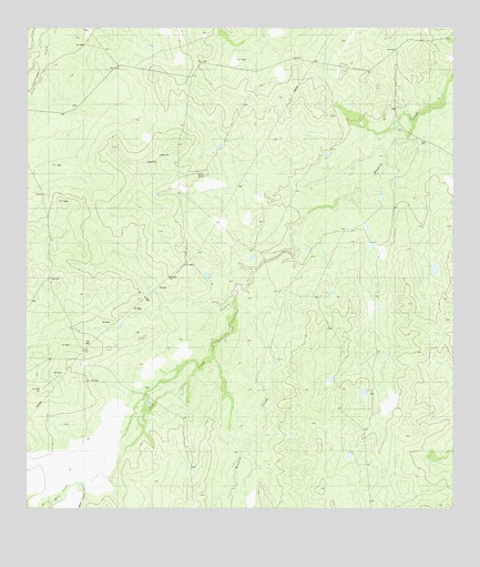 Pato Creek, TX USGS Topographic Map
