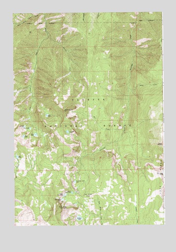 Patrick Butte, ID USGS Topographic Map