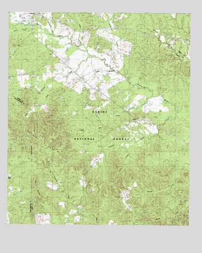 Patroon South, TX USGS Topographic Map