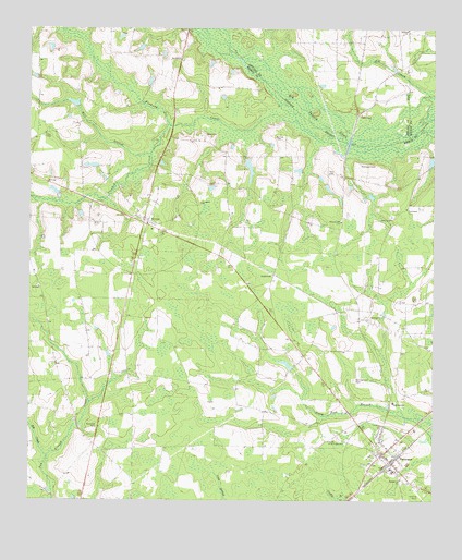 Patterson, GA USGS Topographic Map