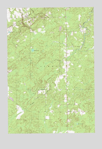 Patzau, WI USGS Topographic Map