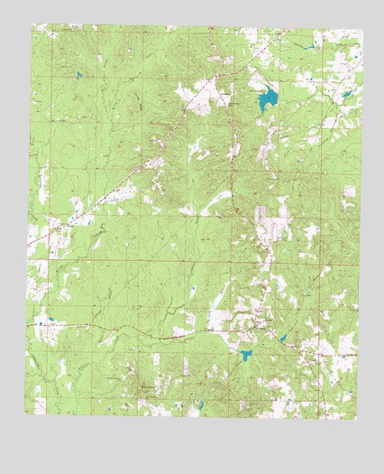 Paulding, MS USGS Topographic Map