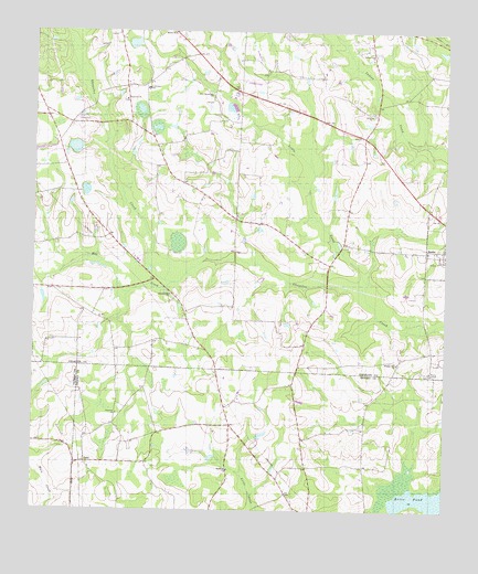 Berlin West, GA USGS Topographic Map