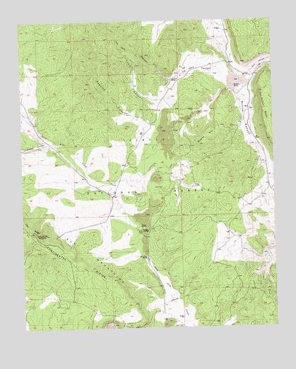 Paxton Springs, NM USGS Topographic Map