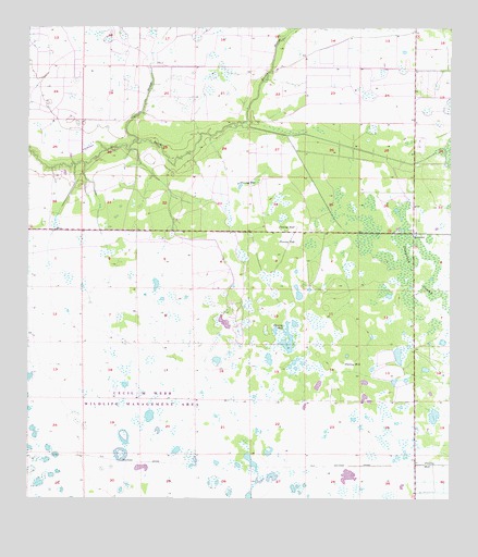 Bermont, FL USGS Topographic Map