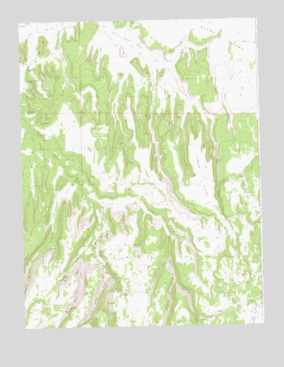 Payne Wash, CO USGS Topographic Map