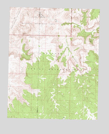 Peach Springs NE, AZ USGS Topographic Map