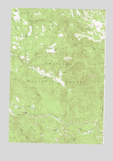 Pearson Ridge, OR USGS Topographic Map