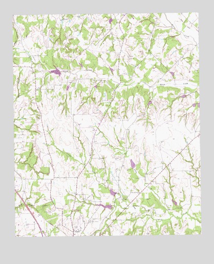 Pecan Creek, TX USGS Topographic Map