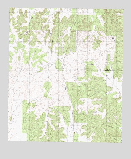 Pecan Mott, TX USGS Topographic Map