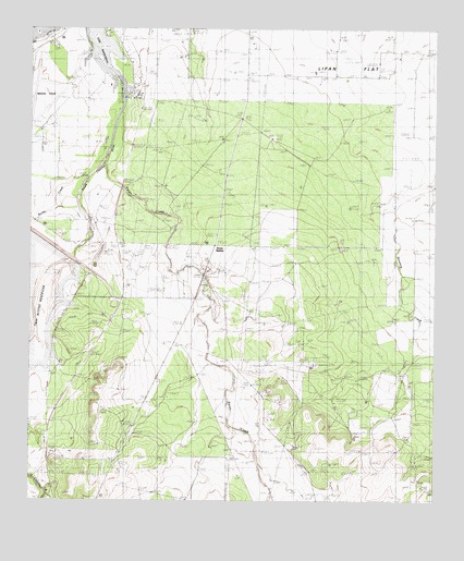 Pecan Station, TX USGS Topographic Map