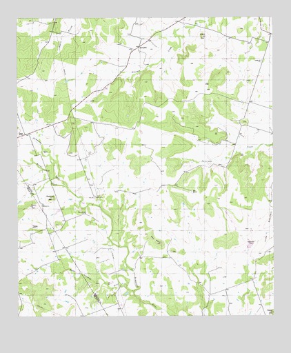 Pecan Wells, TX USGS Topographic Map