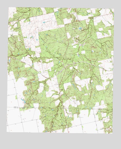 Bernecker, TX USGS Topographic Map