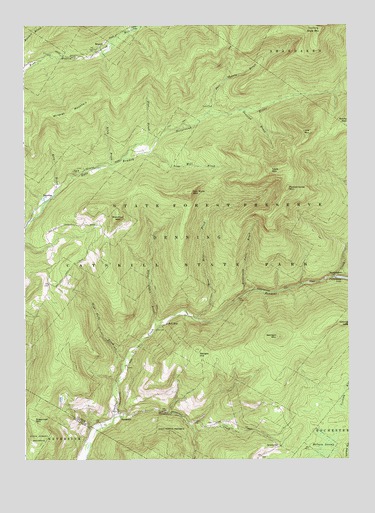 Peekamoose Mountain, NY USGS Topographic Map