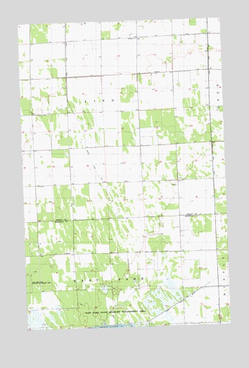 Pelan SE, MN USGS Topographic Map