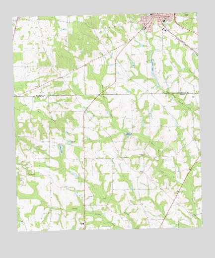 Pelham, GA USGS Topographic Map