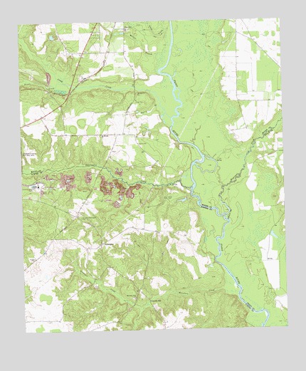 Pennington, GA USGS Topographic Map