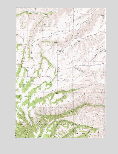 Peola, WA USGS Topographic Map