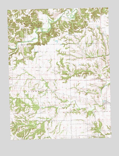 Perry West, IL USGS Topographic Map