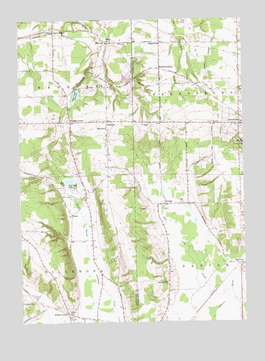 Perrysburg, NY USGS Topographic Map