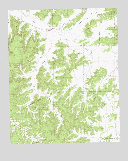 Pescado, NM USGS Topographic Map
