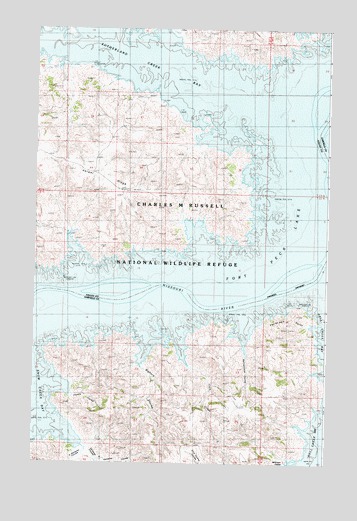 Peterson Point, MT USGS Topographic Map