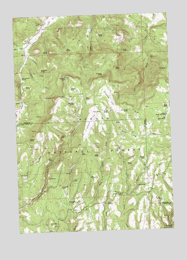 Peterson Point, OR USGS Topographic Map