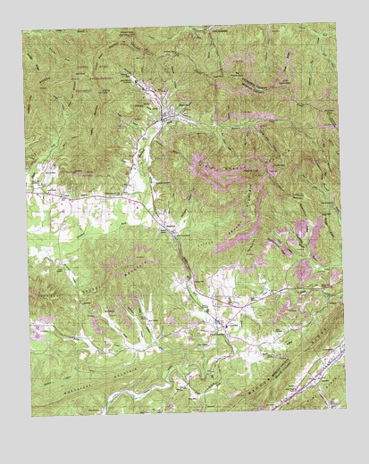 Petros, TN USGS Topographic Map