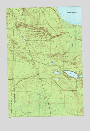 Piatt Lake, MI USGS Topographic Map